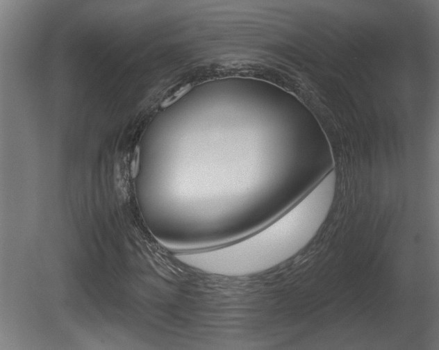 X0000081410868200701120915