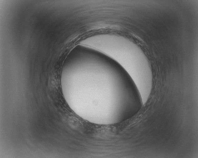 X0000081410869200701120915