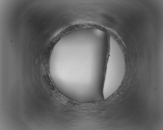 X0000081410871200701120915