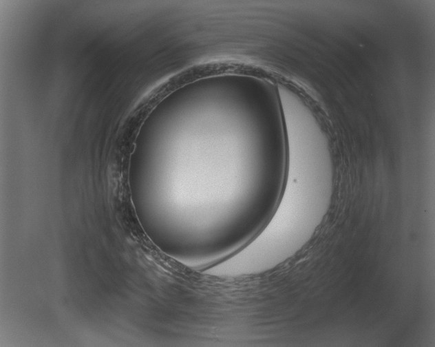 X0000081410872200701120915