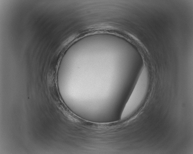 X0000081410873200701120915