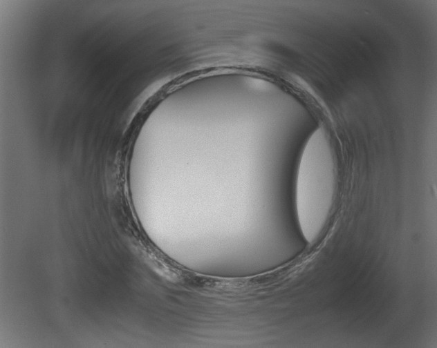 X0000081410875200701120915