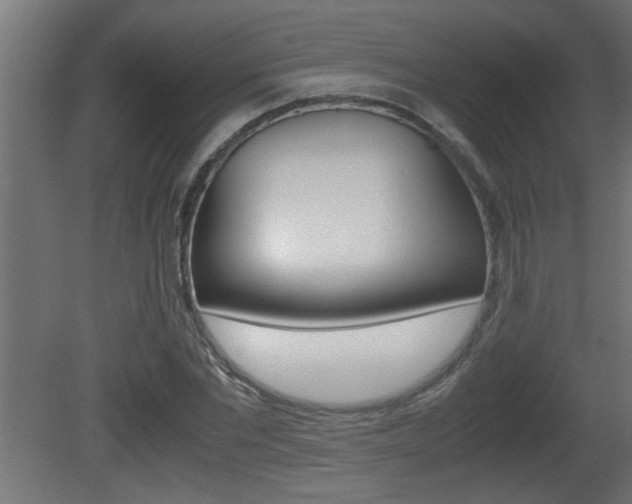 X0000081410877200701120915