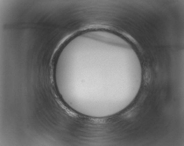 X0000081410878200701120915