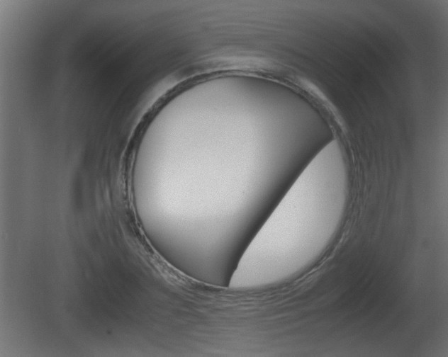 X0000081410883200701120915