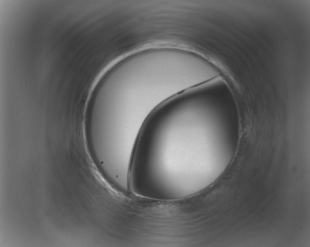 X0000081410888200701120915