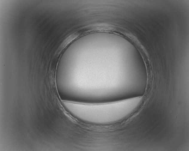 X0000081410889200701120915