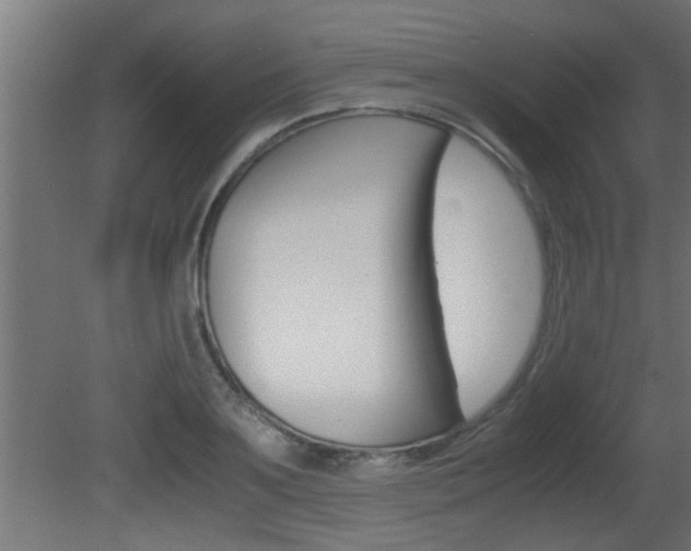 X0000081410891200701120915