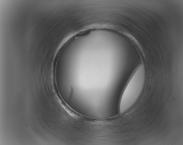X0000081410894200701120915