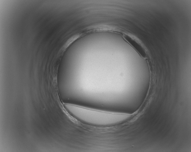 X0000081410897200701120915