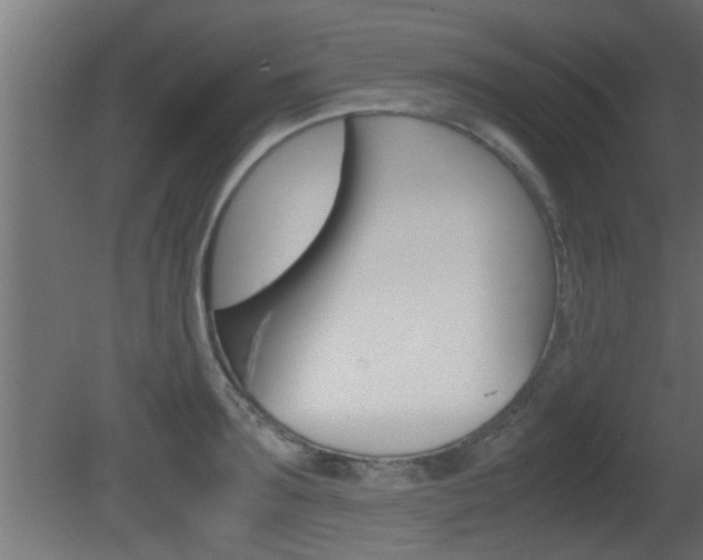 X0000081410899200701120915
