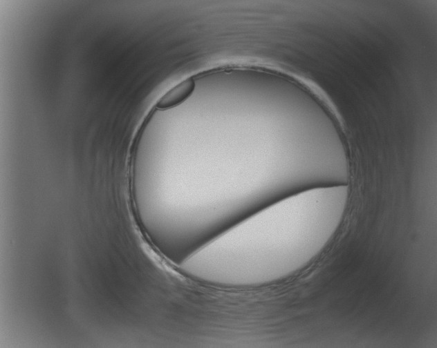 X0000081410903200701120915