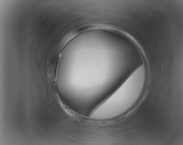 X0000081410905200701120915