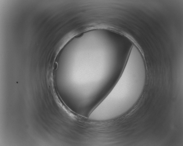 X0000081410906200701120915