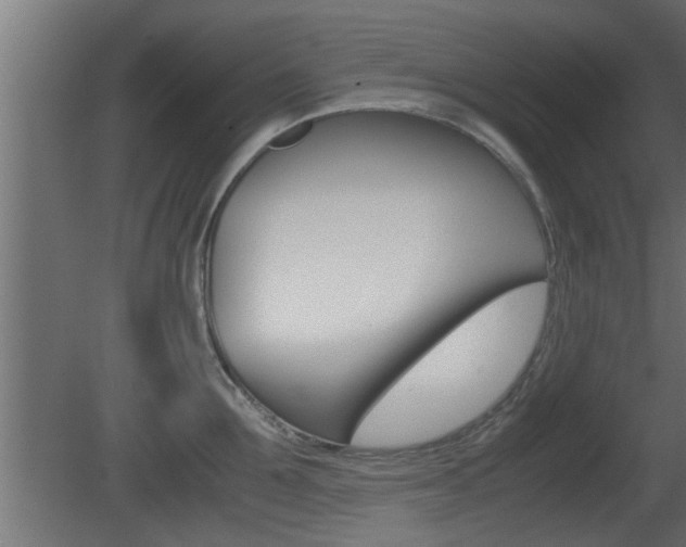 X0000081410907200701120915