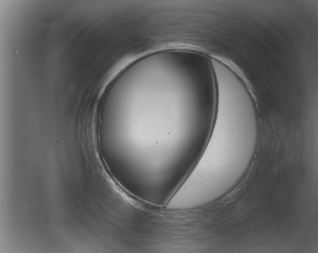X0000081410910200701120914