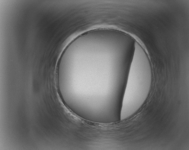 X0000081410911200701120914