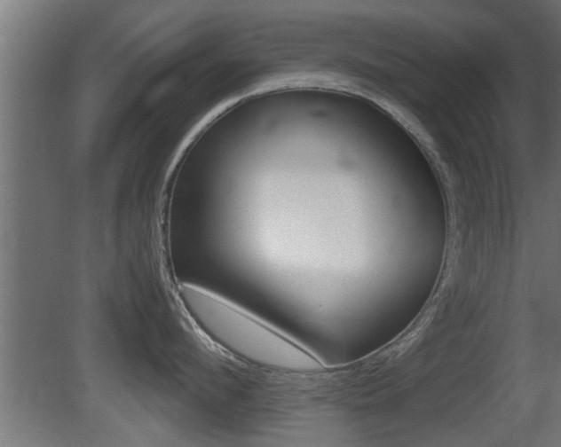 X0000081410912200701120914