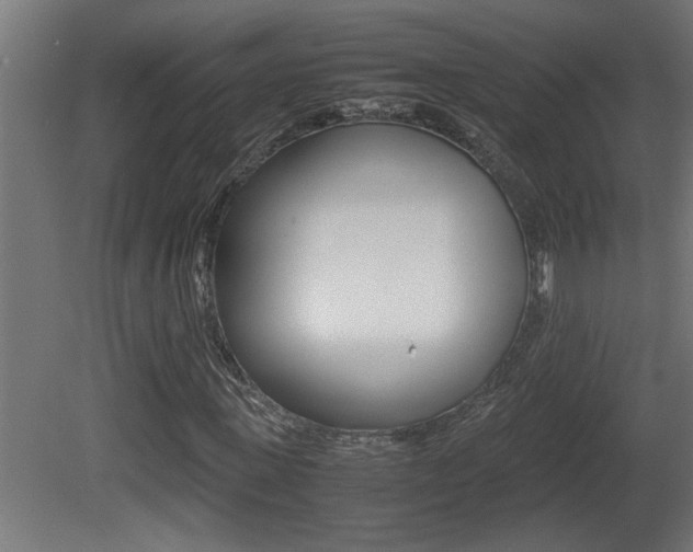X0000081410915200701120914