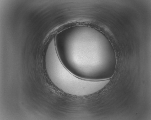 X0000081410920200701120914
