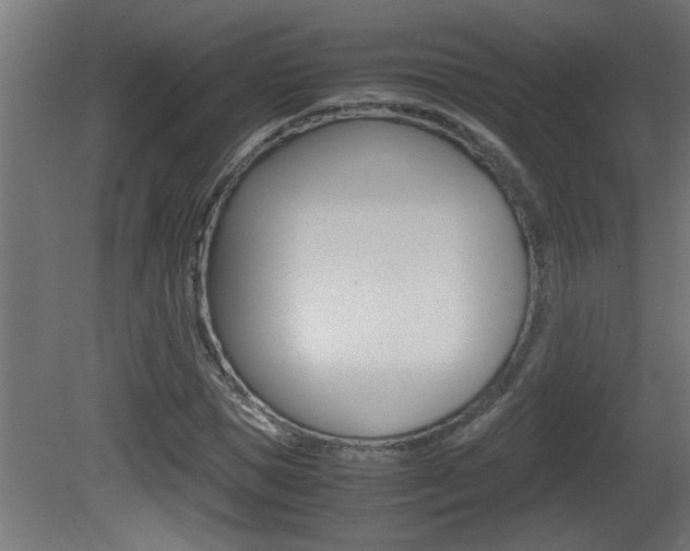 X0000081410921200701120914