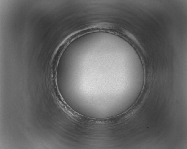 X0000081410923200701120914