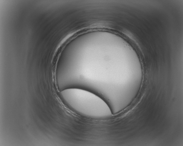 X0000081410925200701120914