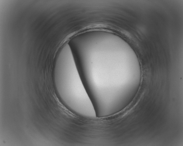 X0000081410929200701120914