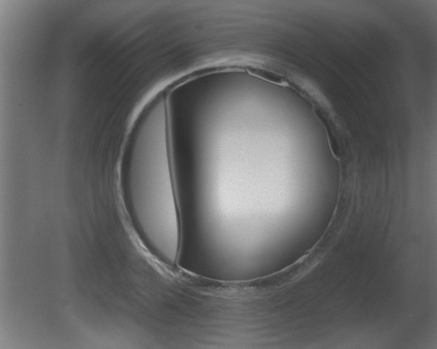 X0000081410936200701120914