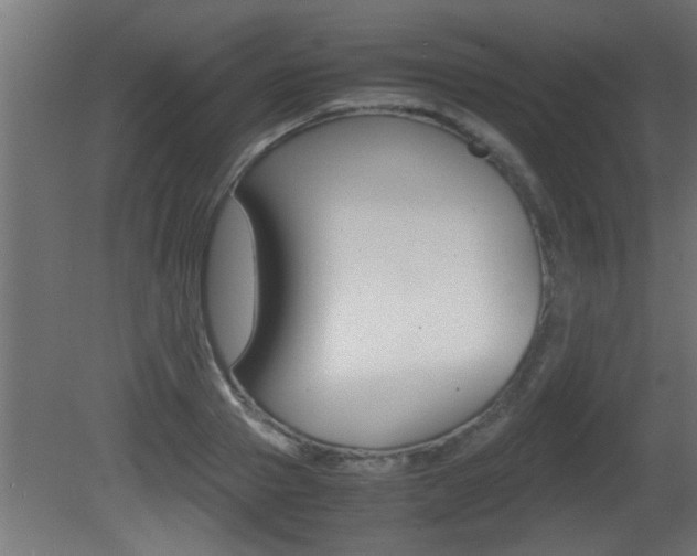 X0000081410937200701120914