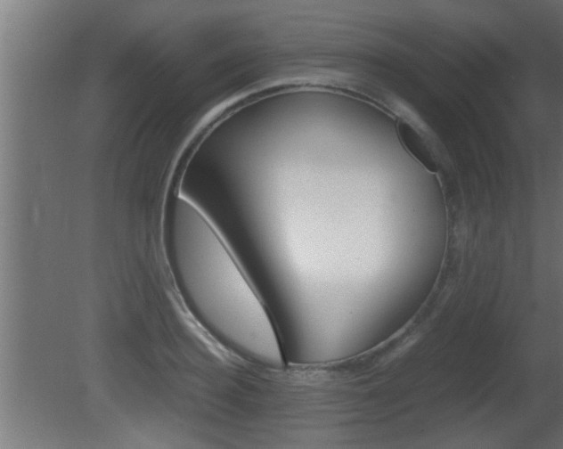 X0000081410940200701120914