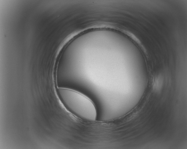 X0000081410943200701120914