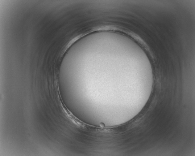 X0000081410945200701120914