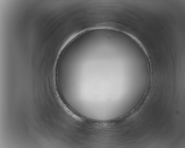 X0000081410949200701120914