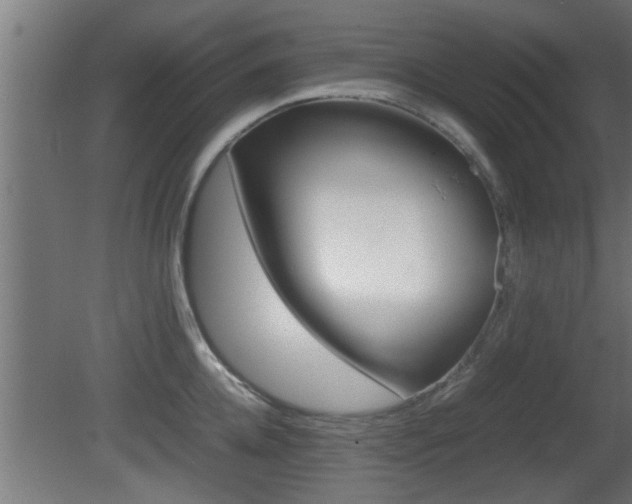 X0000081410952200701120914