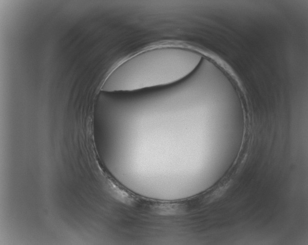 X0000081410953200701120914