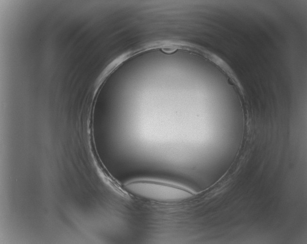 X0000081410954200701120914