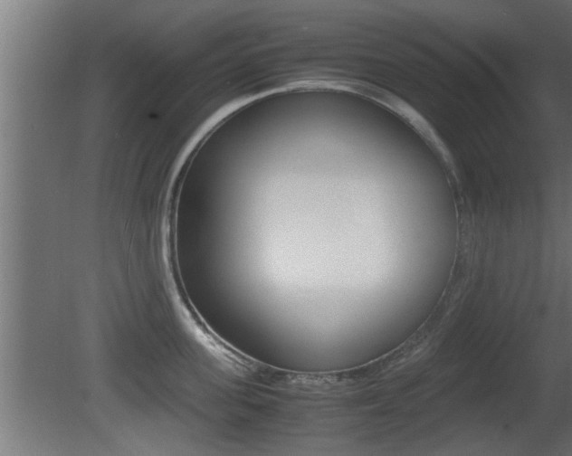 X0000081410955200701120914