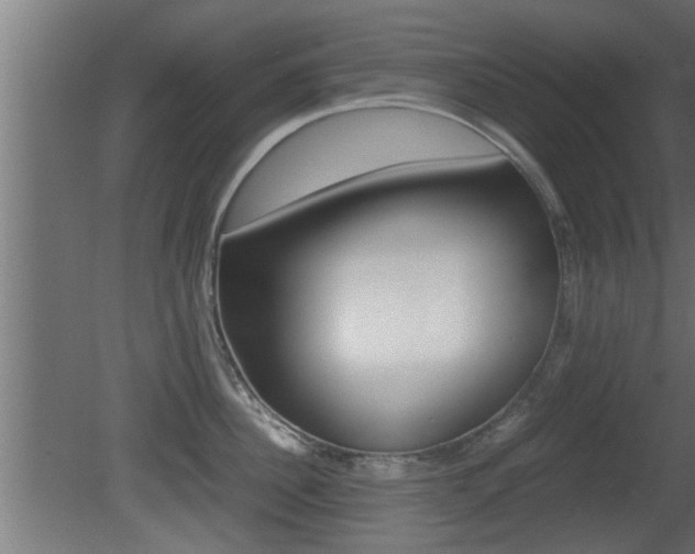 X0000081410956200701120914