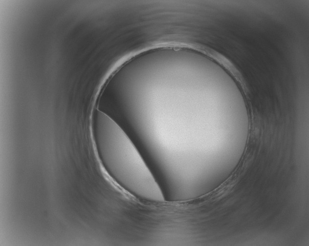 X0000081410958200701120914
