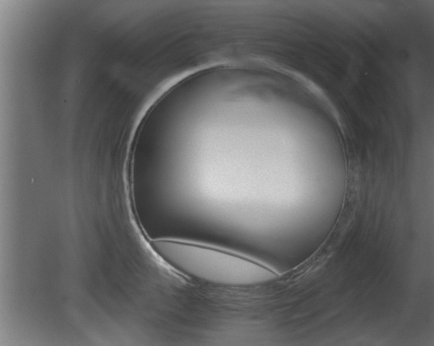 X0000081410959200701120914