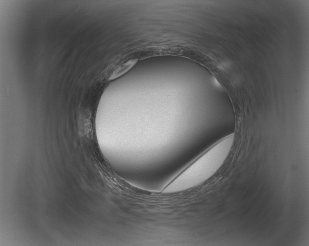 X0000081410963200701120914