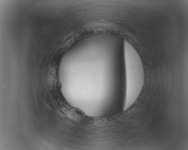 X0000081410964200701120914