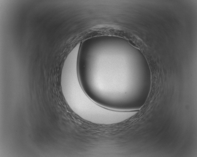 X0000081410965200701120914