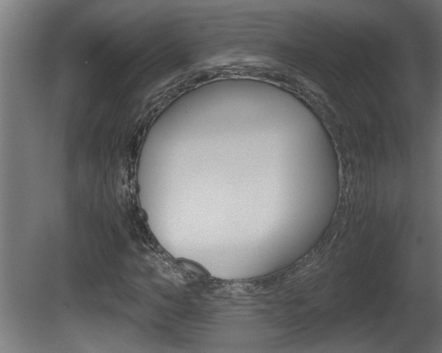 X0000081410966200701120914