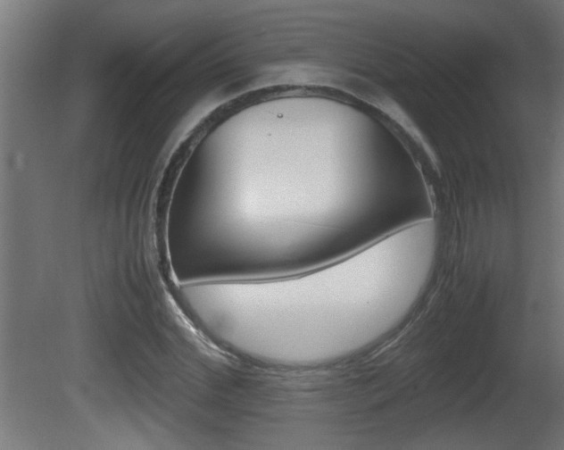 X0000081410972200701120913