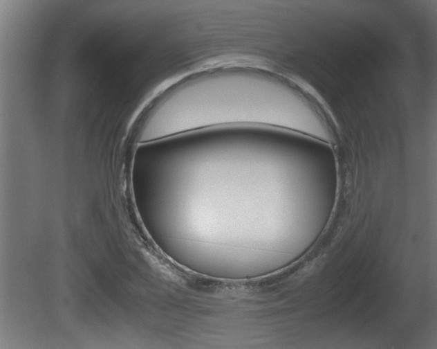 X0000081410973200701120913