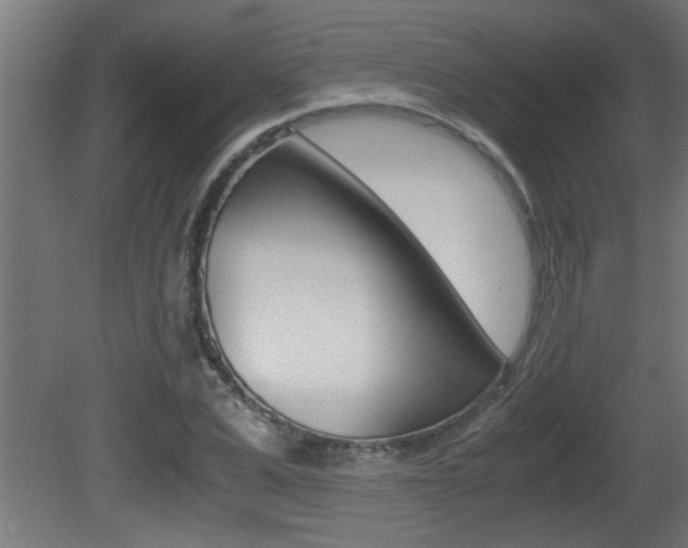 X0000081410975200701120913