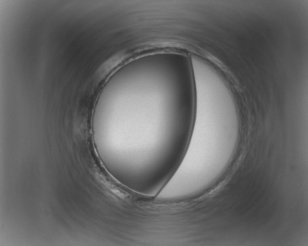 X0000081410977200701120913