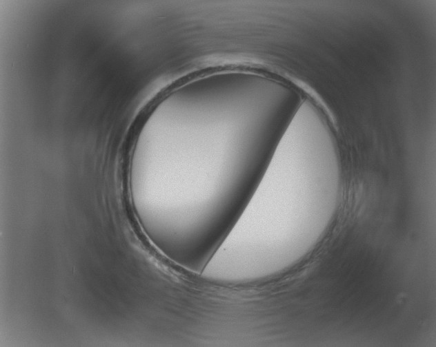 X0000081410983200701120913